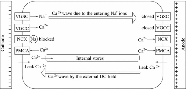 Fig. 2