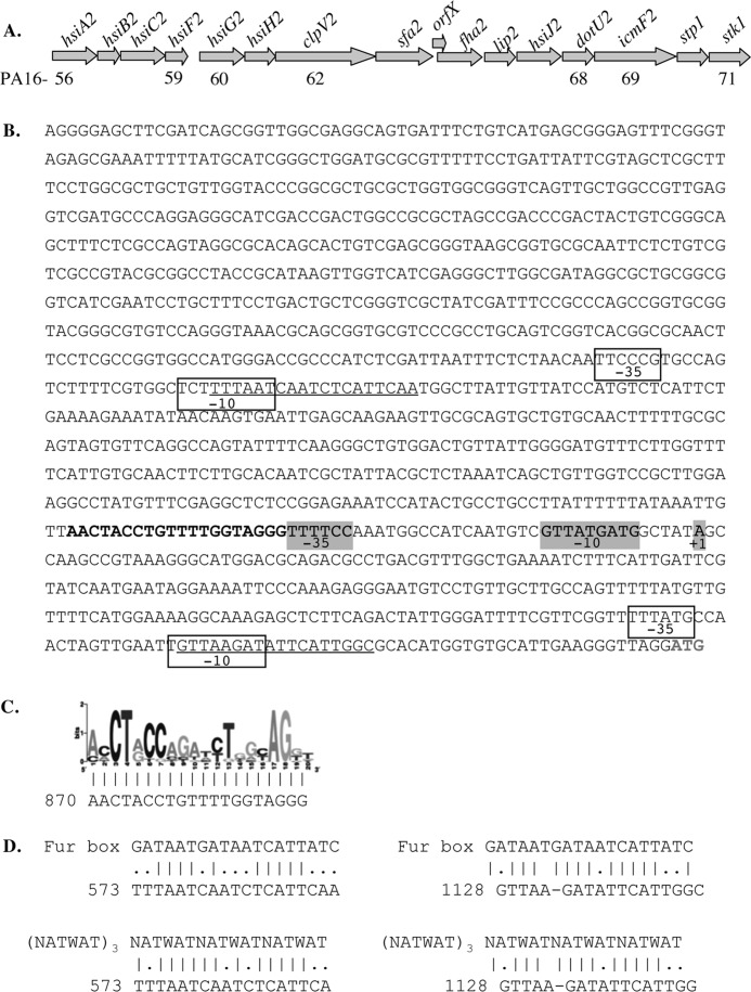 FIGURE 1.