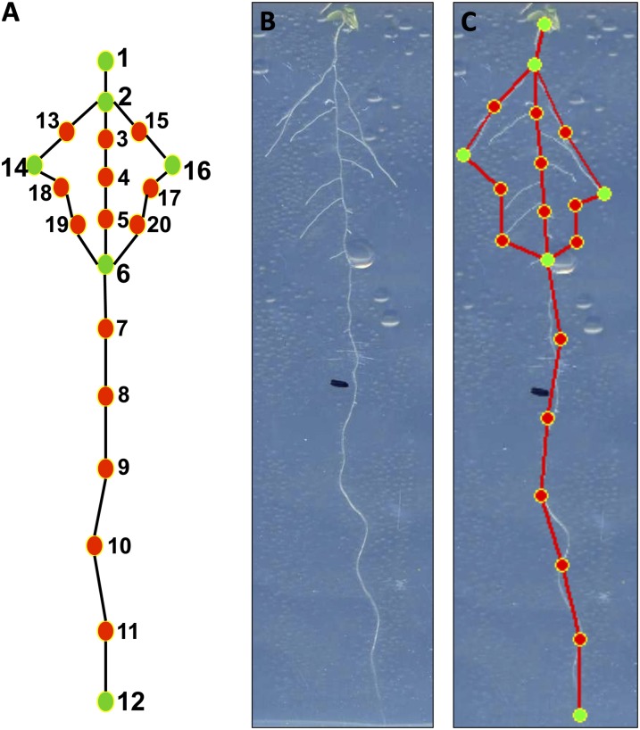 Figure 1.