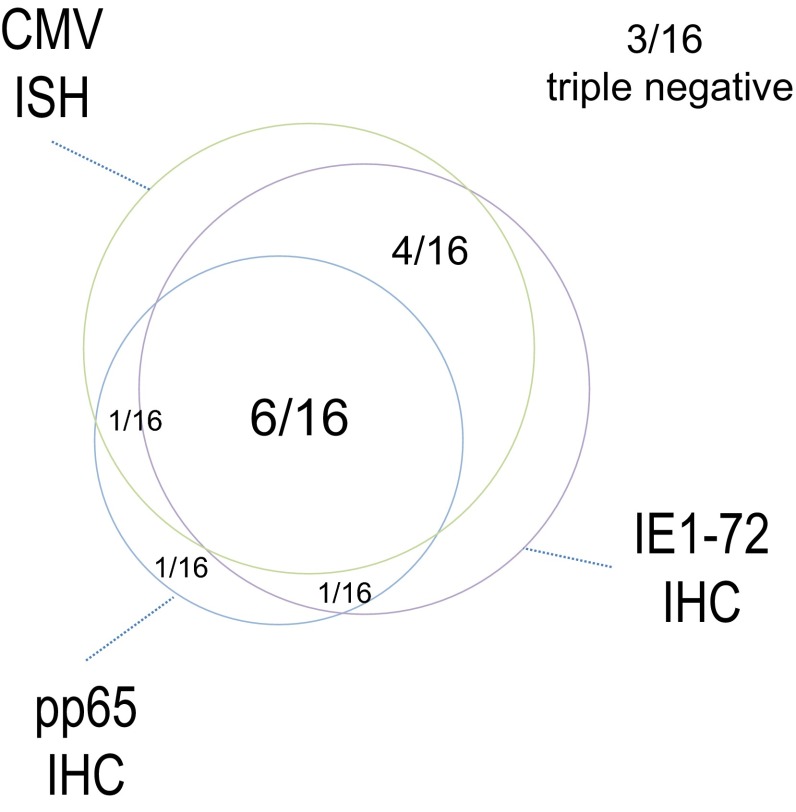 Fig. 5