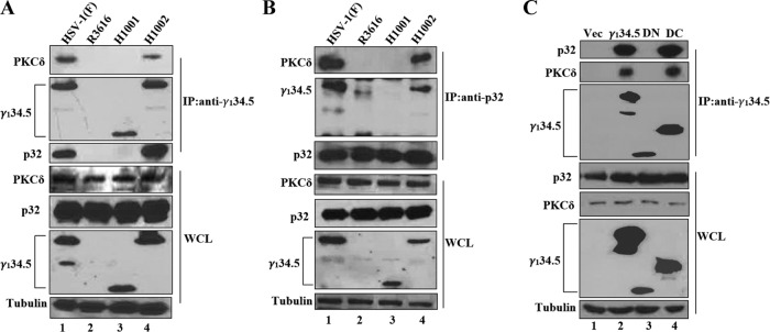 FIG 6