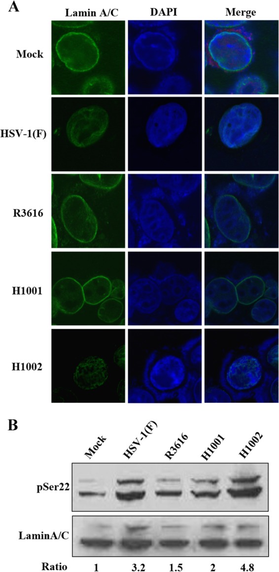 FIG 3