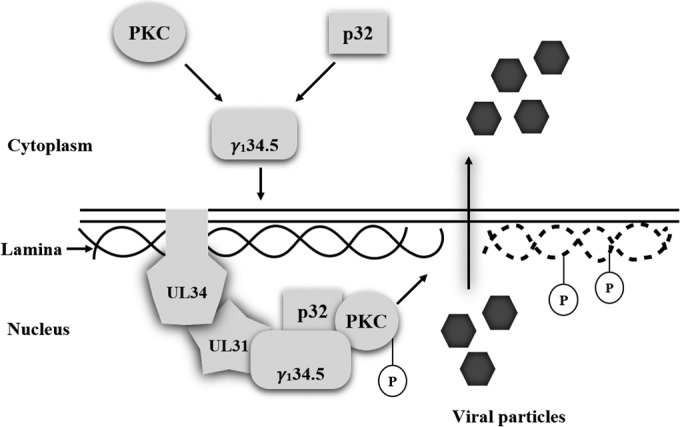 FIG 9