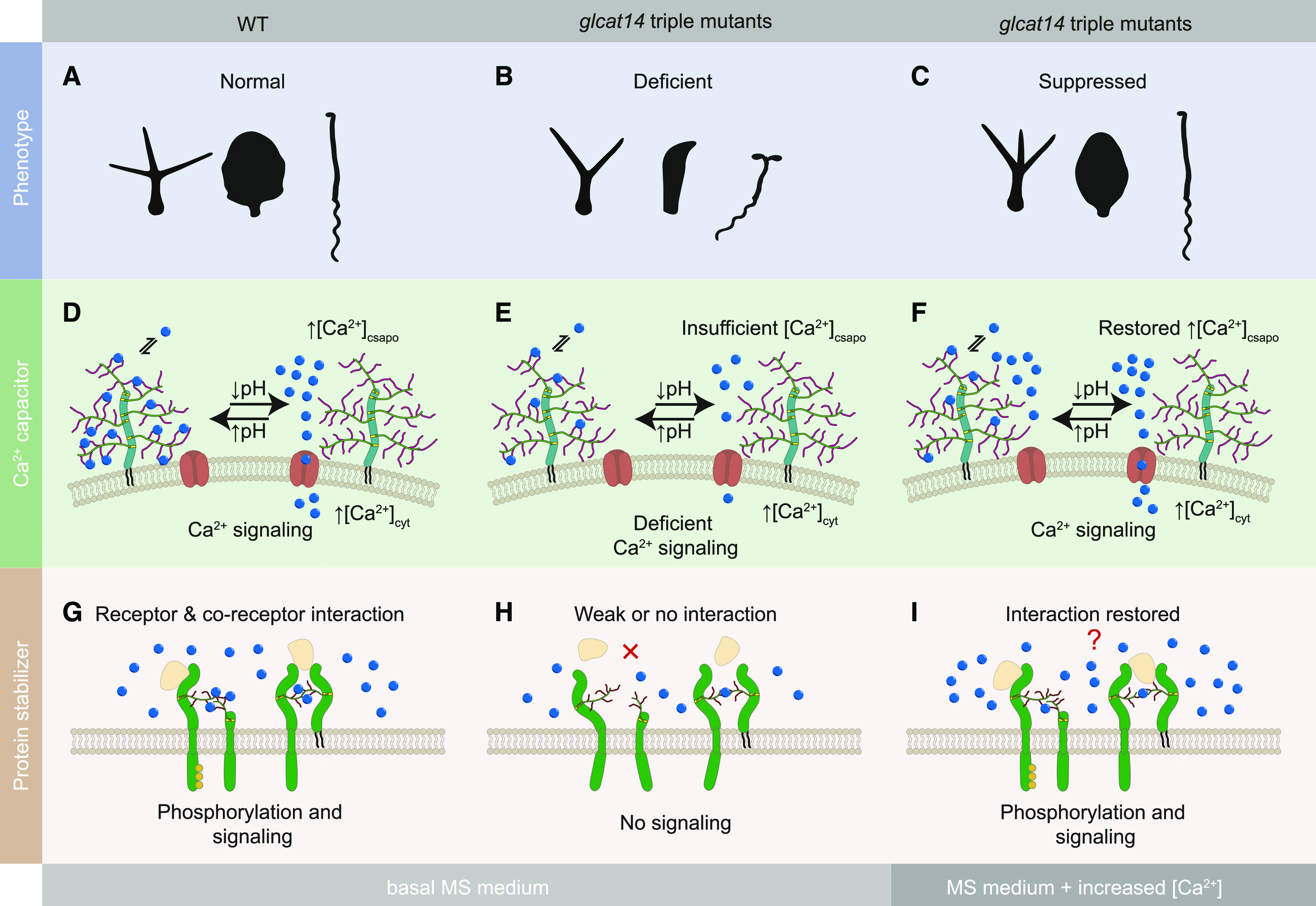 Figure 12.