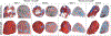 Fig. 8:
