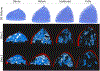 Fig. 6: