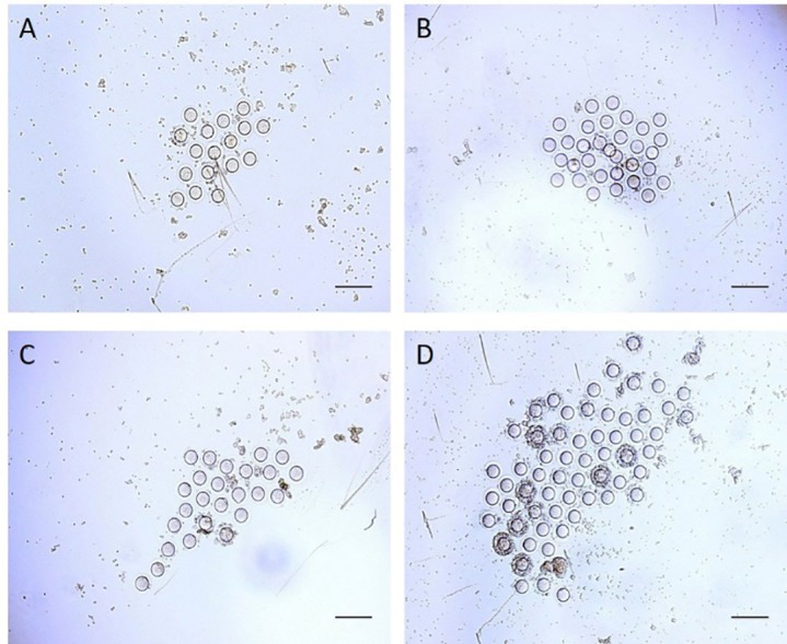 Figure5