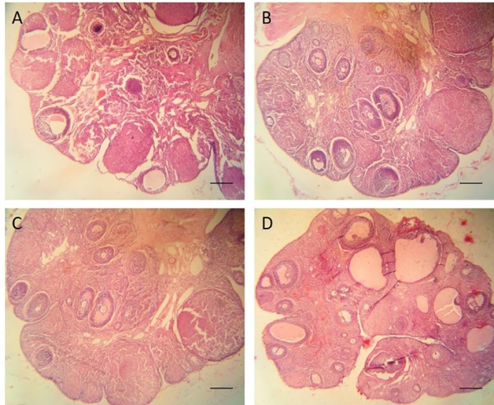 Figure7