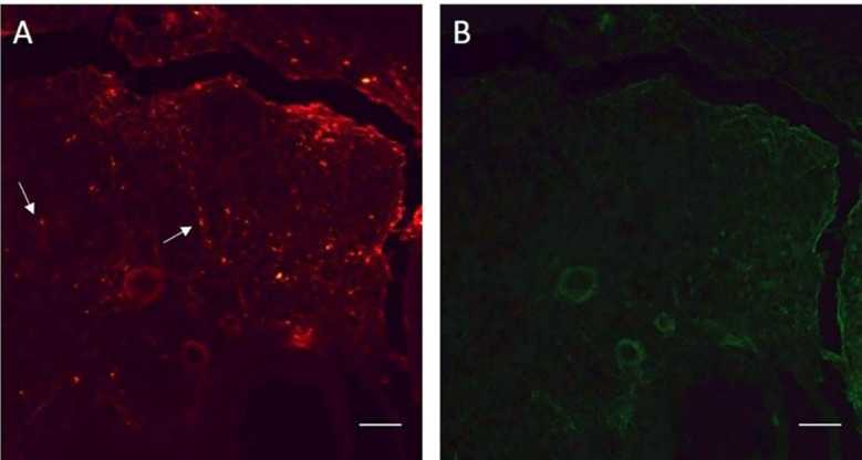 Figure2