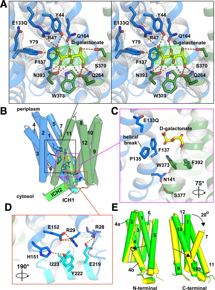 Fig 6