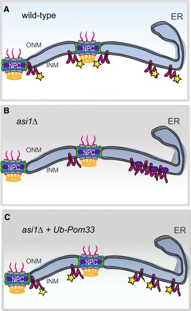 Fig. 3