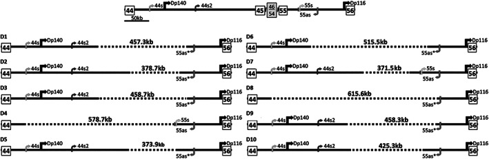 FIGURE 3