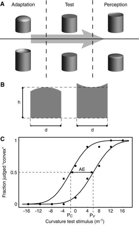 Fig. 1