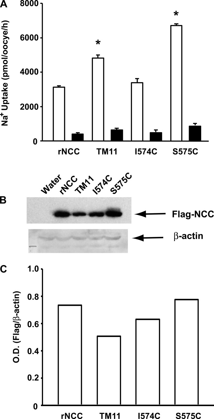 Fig. 6.