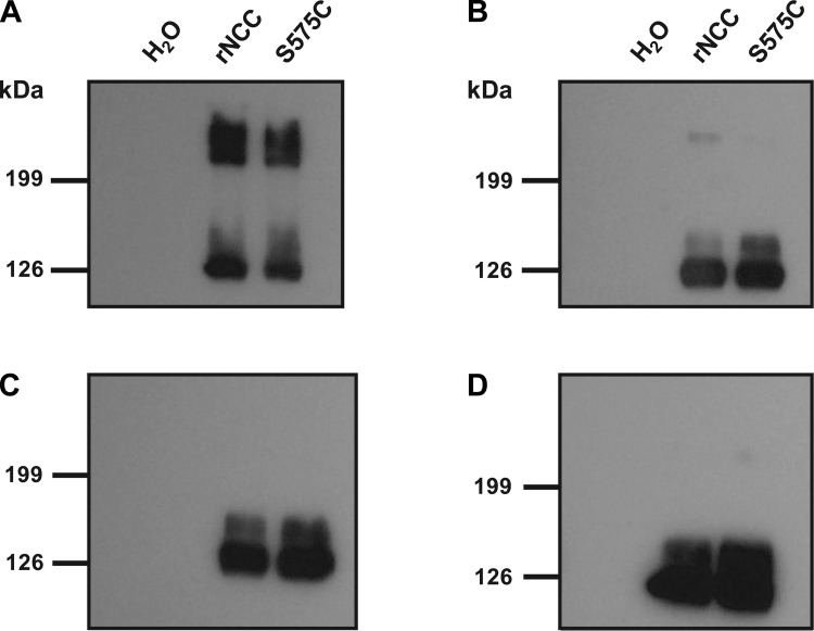 Fig. 8.