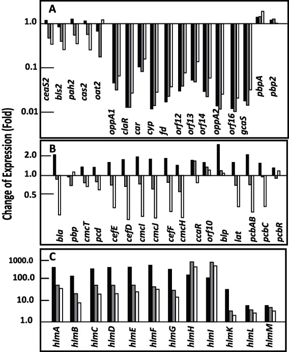 FIG 2