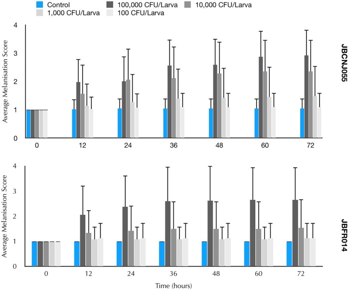 FIGURE 4