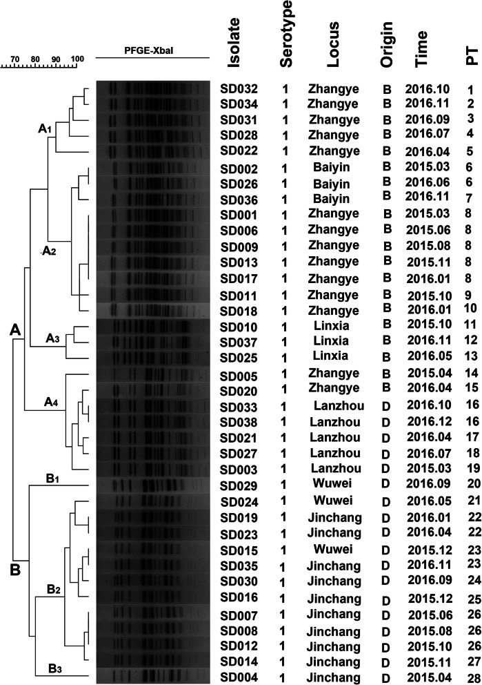 Fig. 3