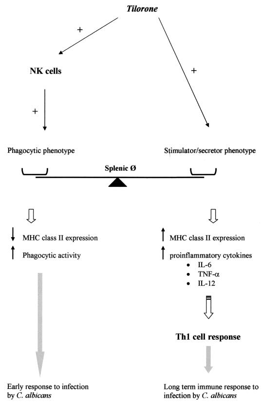 FIG. 6.