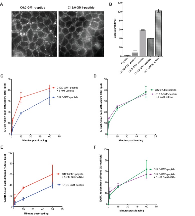 Figure 3—figure supplement 1.