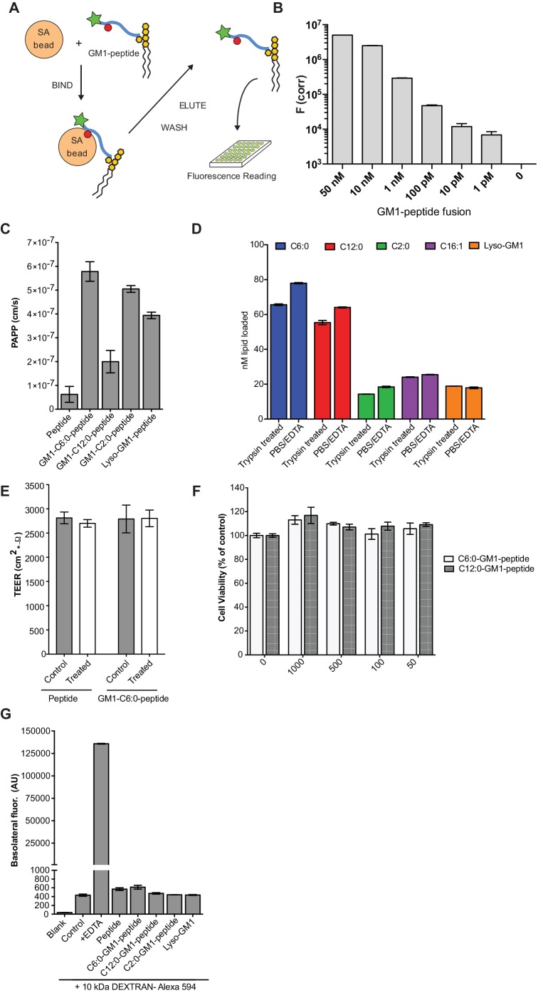 Figure 1—figure supplement 2.