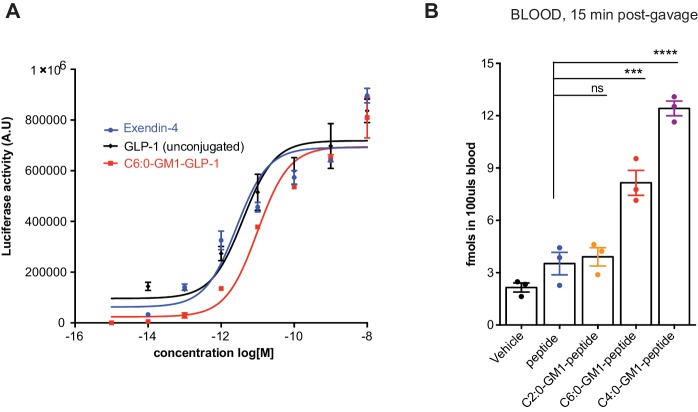 Figure 5—figure supplement 1.