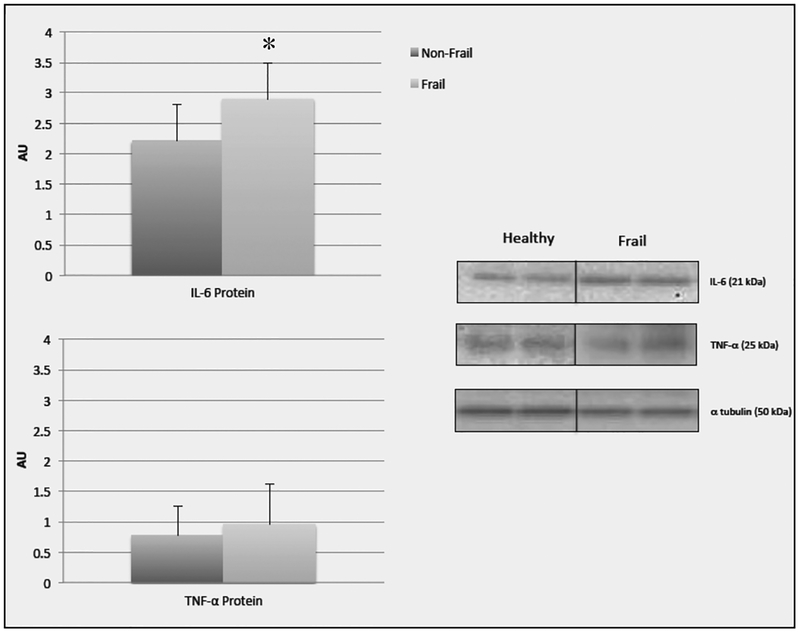 Figure 2b