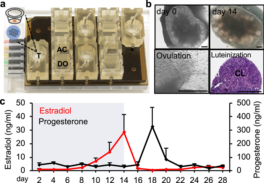 Figure 3.