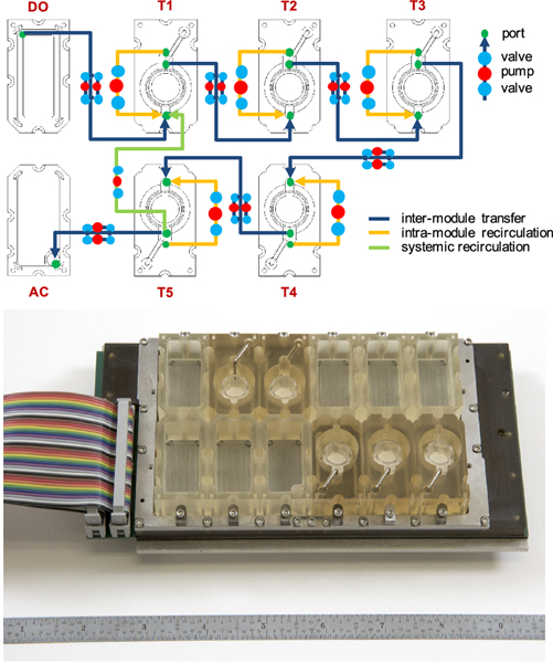 Figure 6.