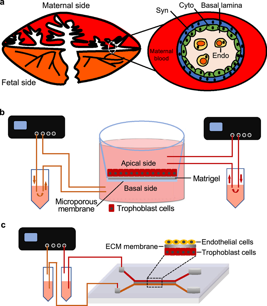 Figure 5.