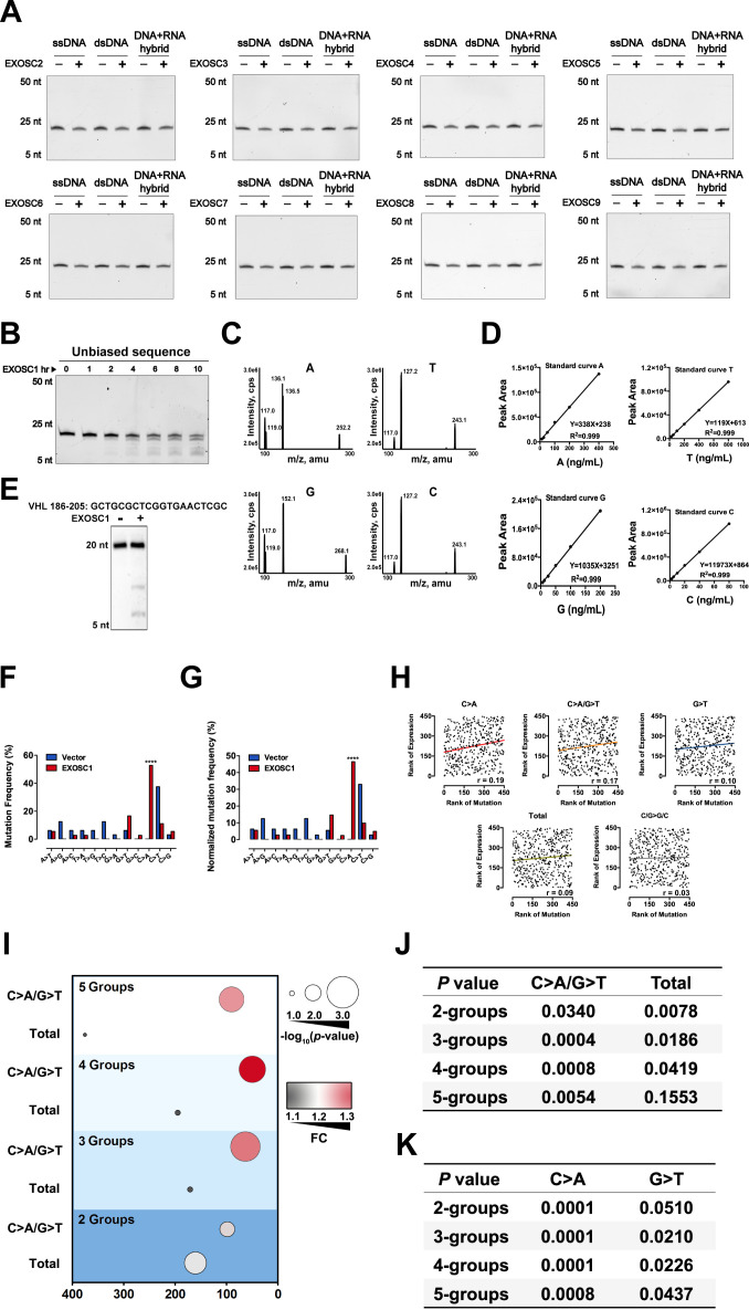 Figure 4—figure supplement 1.