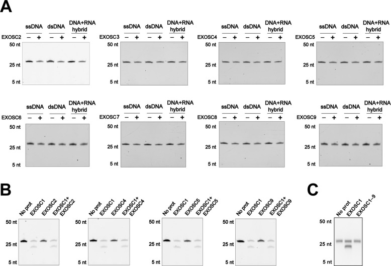 Figure 3—figure supplement 1.