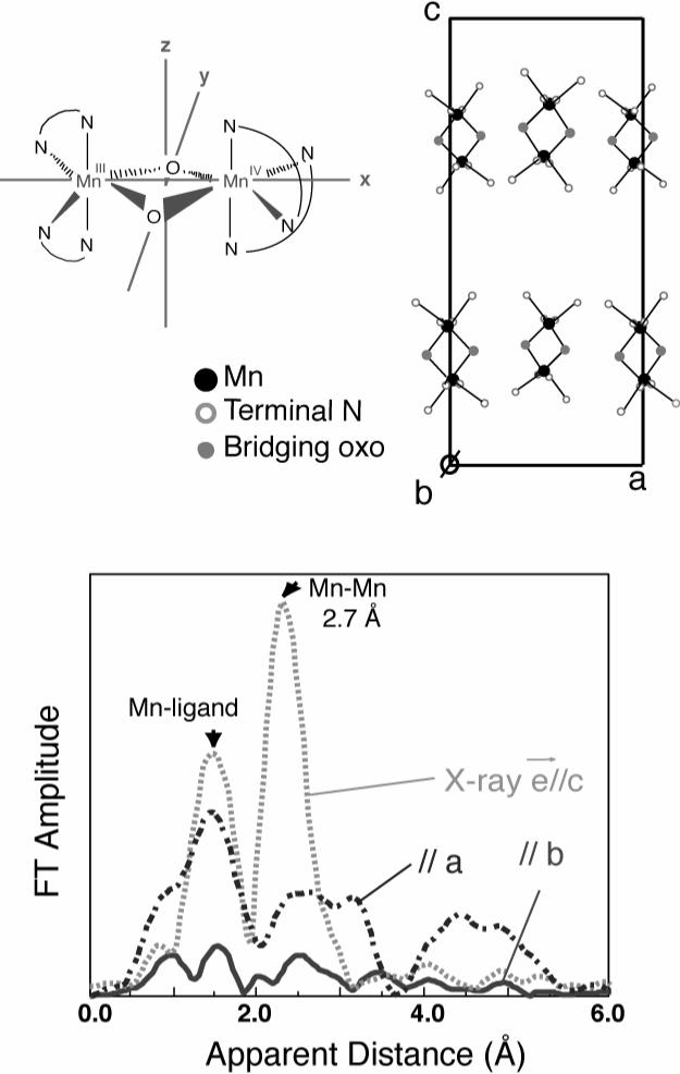 Fig.10