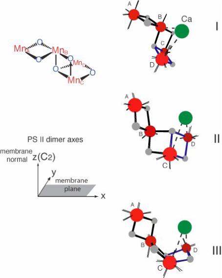 Fig.12