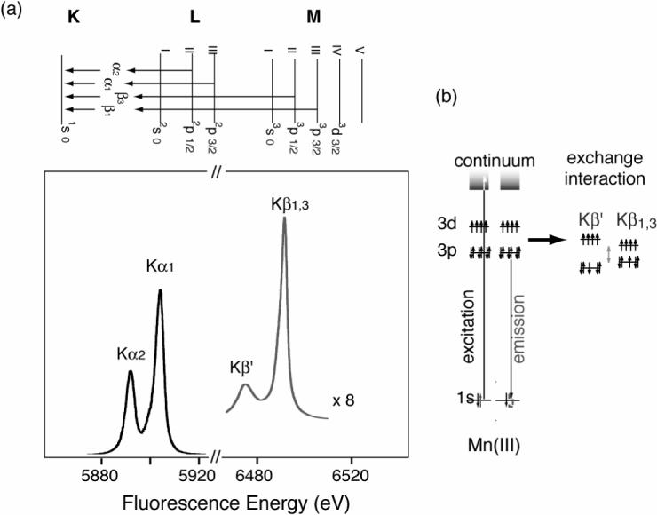 Fig.3