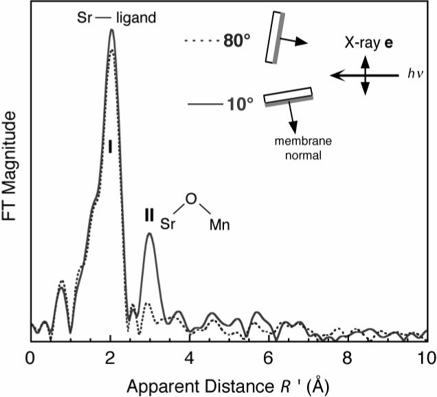 Fig.13