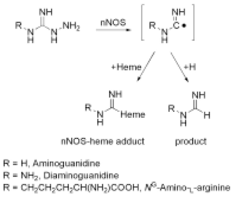 Scheme 2