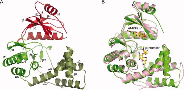 Figure 2