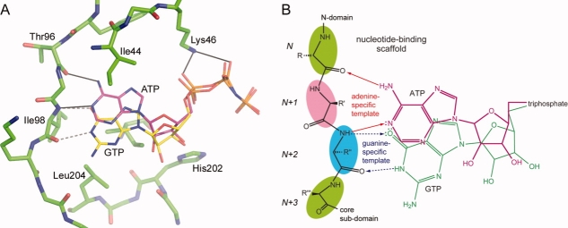 Figure 5