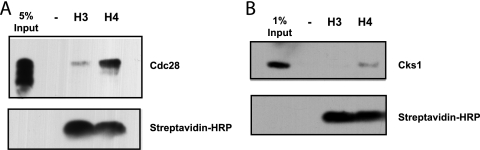 FIG. 7.