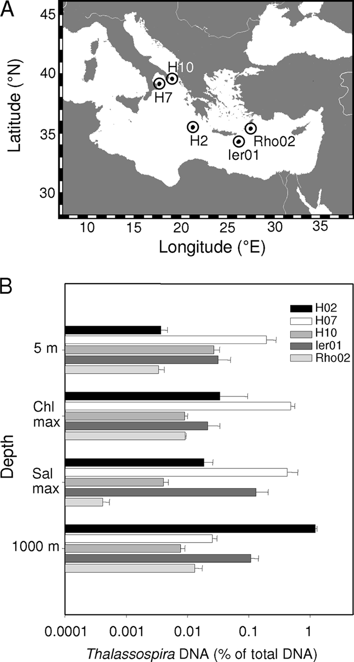 Fig. 1.