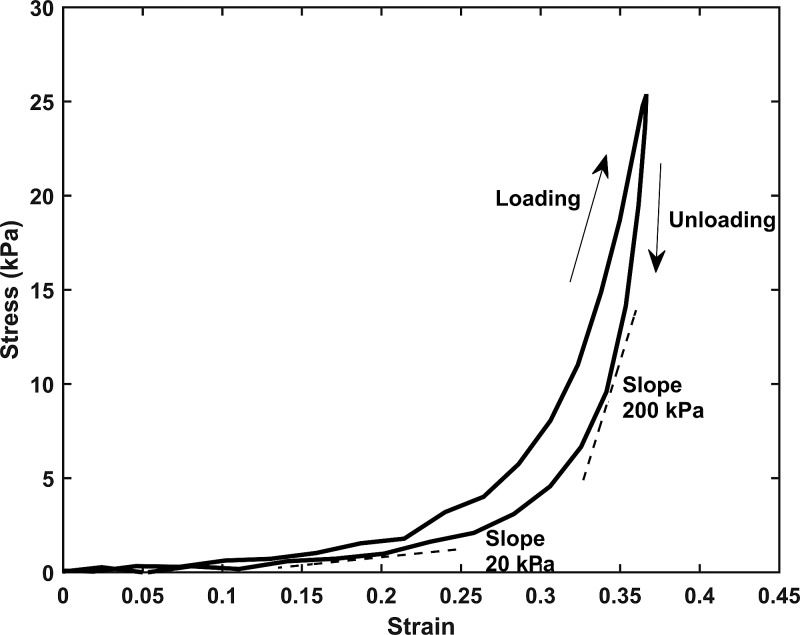 FIG. 2.