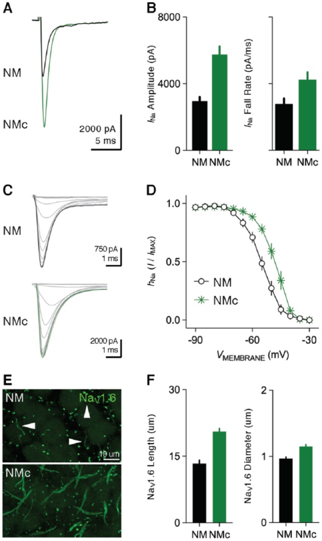 Figure 6.