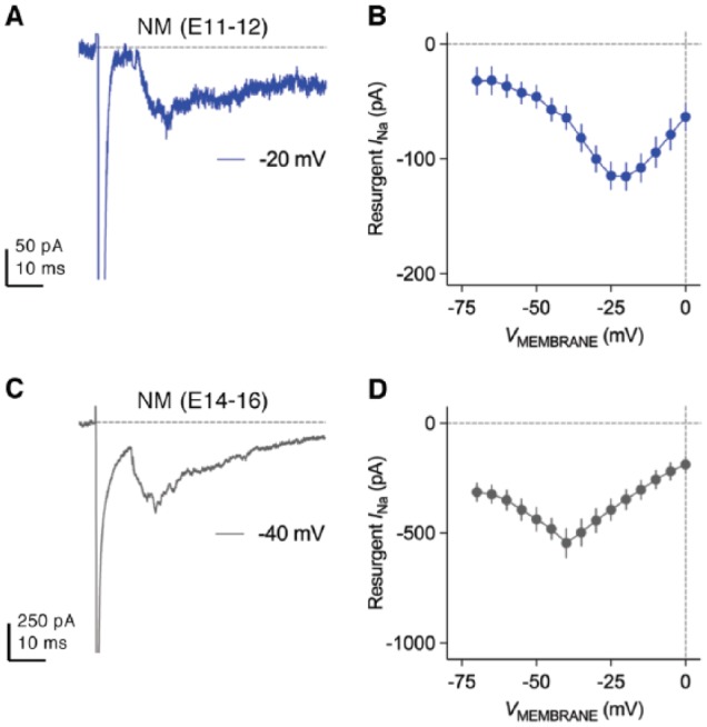 Figure 13.