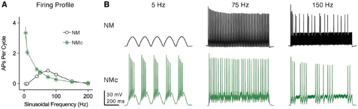 Figure 14.