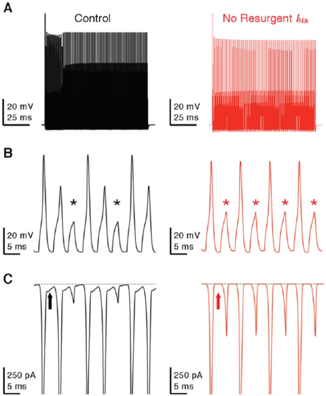 Figure 12.