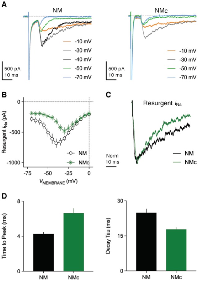 Figure 10.