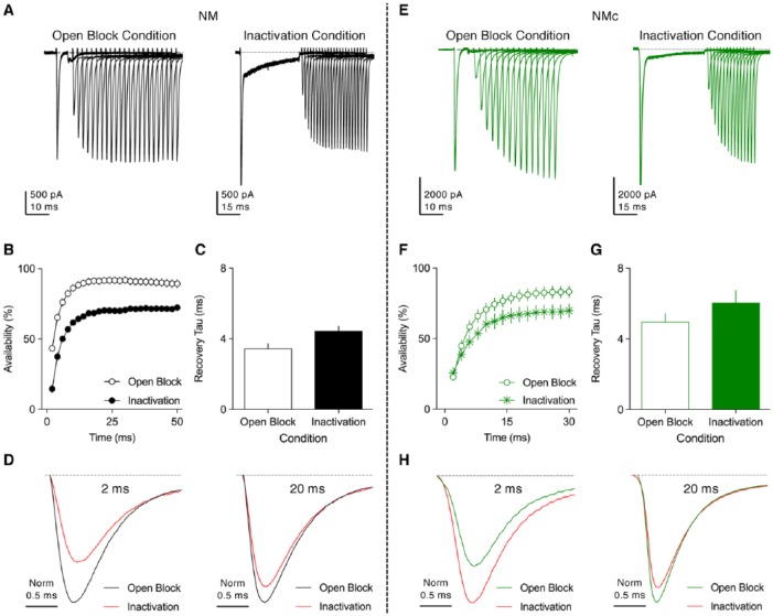 Figure 11.