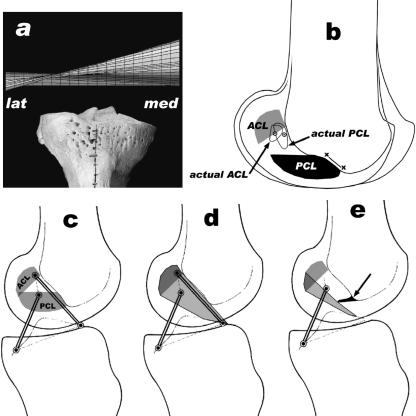 Fig. 11