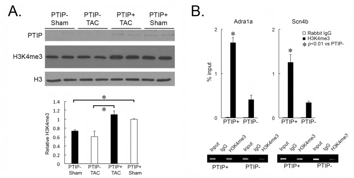 Fig 8